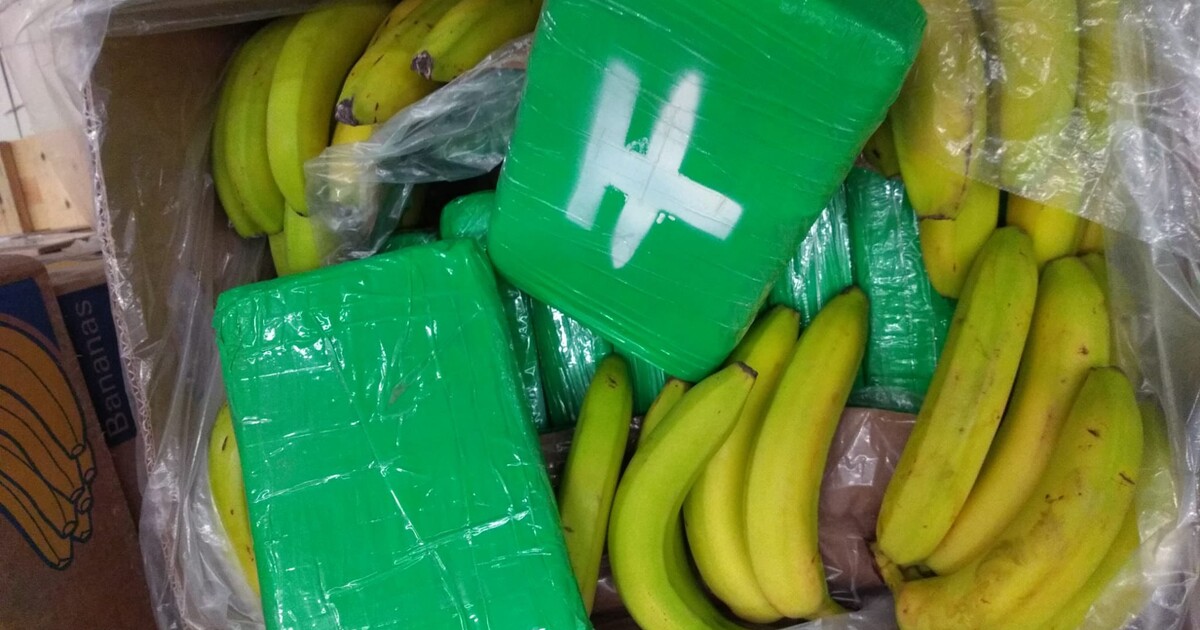 Kokain z Klecan skončil ve střeženém skladu. Co se s ním teď stane?