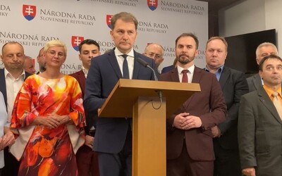 Igor Matovič tvrdí, že strana SaS sa dohodla s opozíciou a fašistami, že budú hlasovať za veto prezidentky. SaS to popiera a odmieta chodiť na koaličné rady.