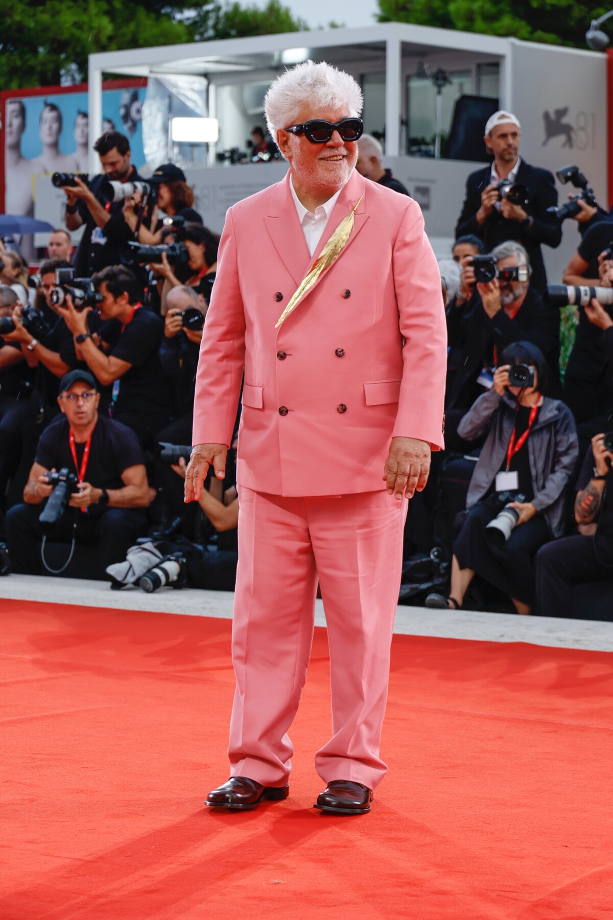 Pedro Almodóvar, Venice Film Festival 2024