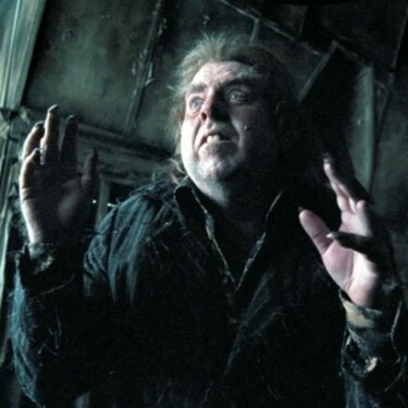 Peter Pettigrew