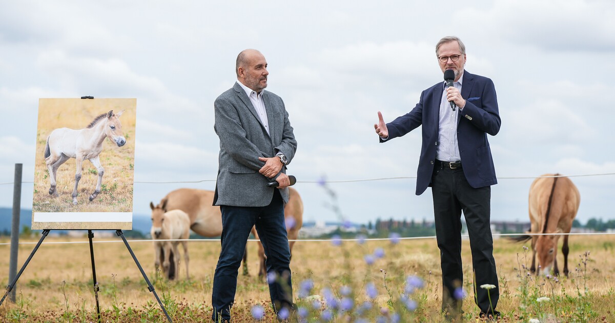 Premiér Fiala pokřtil hříbě koně Převalského. Jaké jméno mu dal?