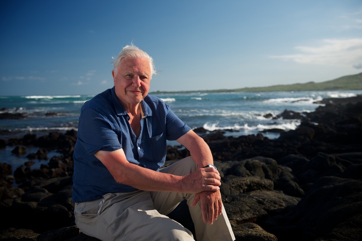 Sir David Attenborough