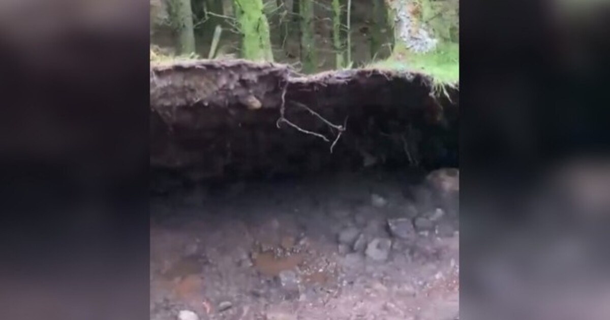 VIDEO: Děsivý úkaz ve Skotsku. Muž natočil, jak se nadzvedává část lesa