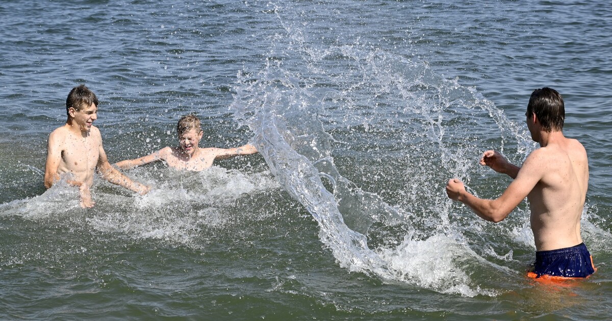 Mapa koupání v Česku: Jaká je kvalita vody na přírodních koupalištích v Česku? Známe odpověď