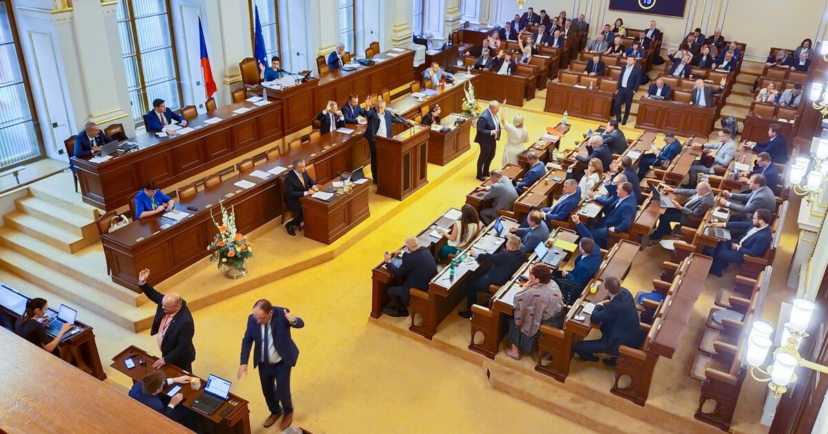 V Poslanecké sněmovně se hledala zbraň. Konzultant poslankyně ji zapomněl na záchodě