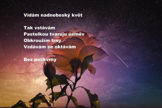 Vzdávám se oktávám bez poskvrny.