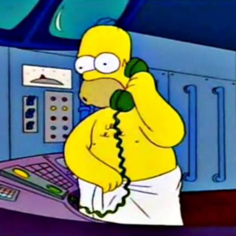 Prečo je Homer taký hlúpy?