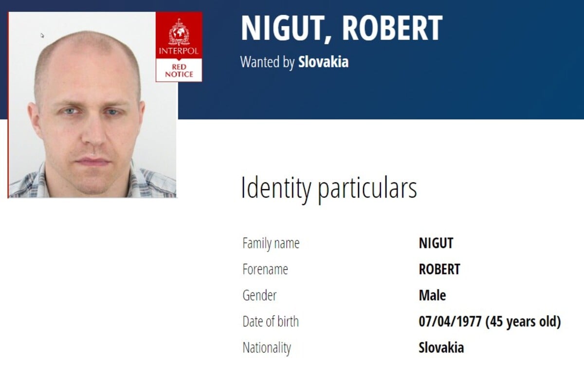 Róbert Nigut.