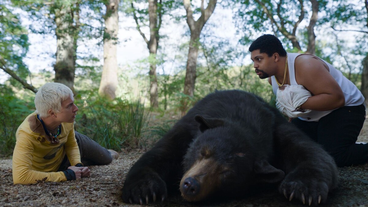 Medvěd na koksu, cocaine bear