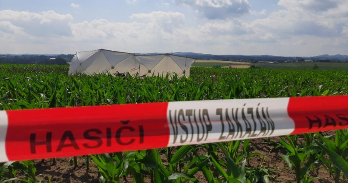 Tragédie u Havlíčkova Brodu: Zřítilo se letadlo, pilot na místě zemřel