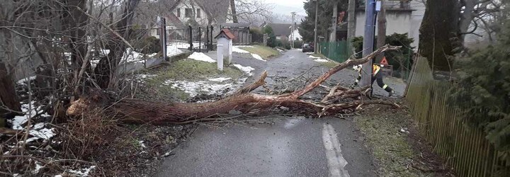 Silný vítr v Česku připravil desetitisíce domácností o elektřinu, komplikuje i dopravu. V noci měl sílu orkánu