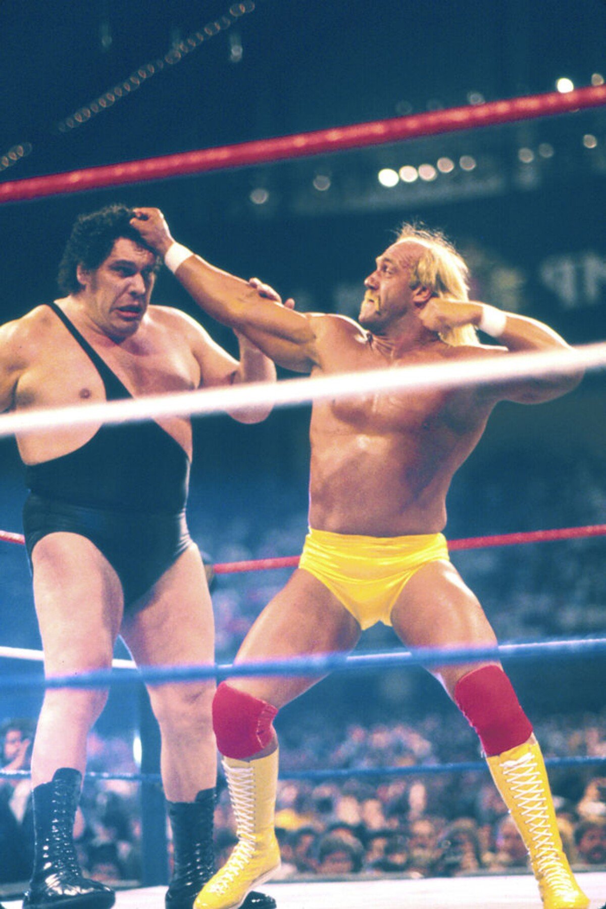 Hulk Hogan