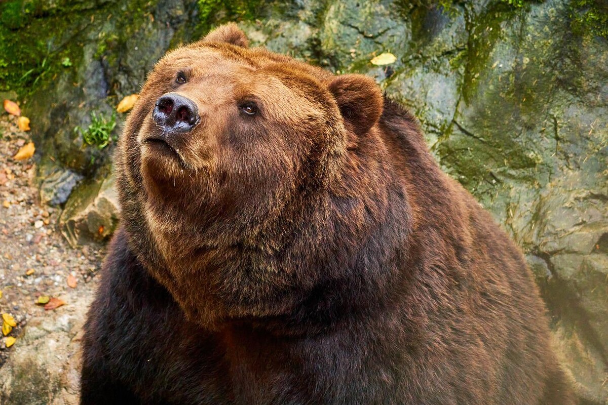 Ilustračná fotografia.