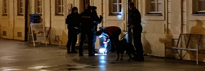 Muž s přezdívkou „Král světa“ z Jablonecka dostal podmínku. V lednu vyhrožoval odpálením bomby na Hradě