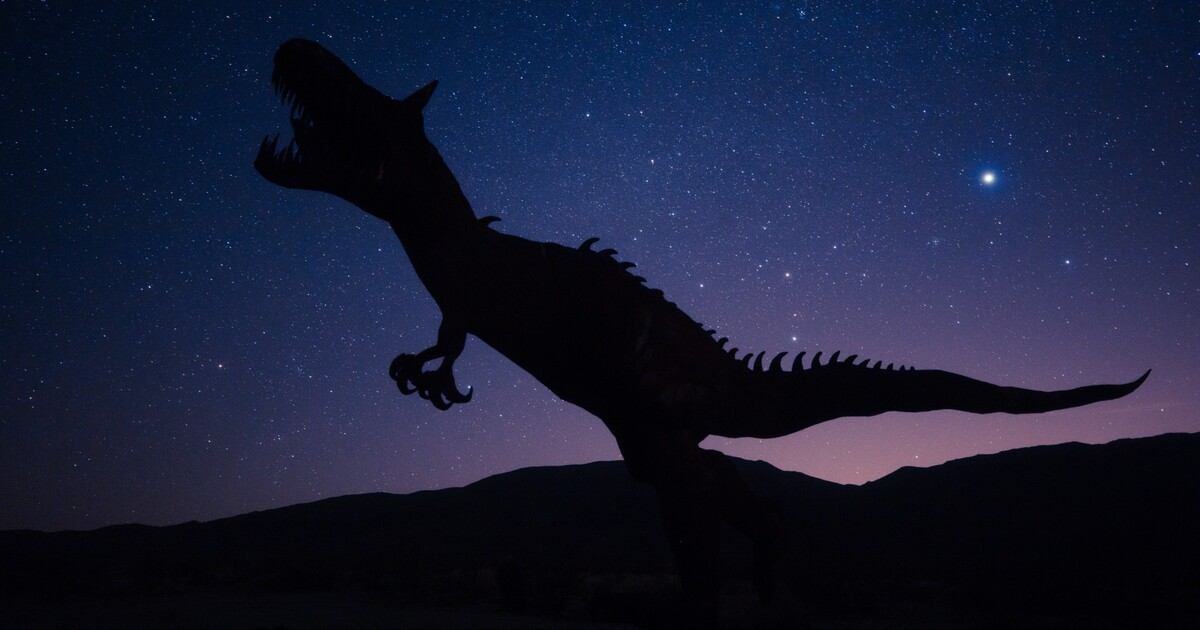 Tipneš si, kolik bylo na světě T-rexů? Děsivá odpověď německé vědkyně překvapila i odbornou veřejnost