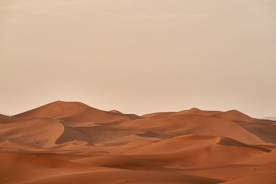 Která poušť je největší na světě?