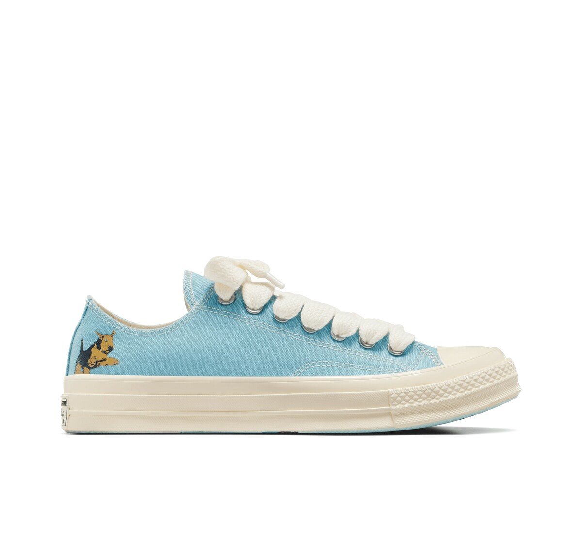 Converse tyler the creator golf le FLEUR