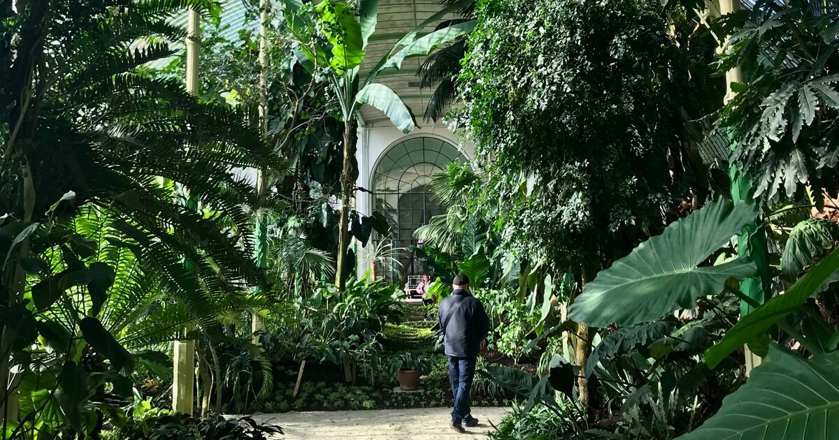 Kam na výlet: Uteč před zimou do nejstaršího skleníku v Evropě. Palmami se můžeš obklopit i v Česku