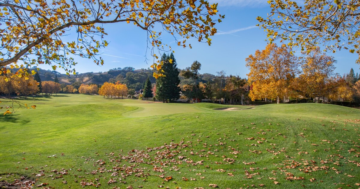 PŘEDPOVĚĎ: Víkend přinese mírné oteplení a slunce. Nový týden pak ochlazení