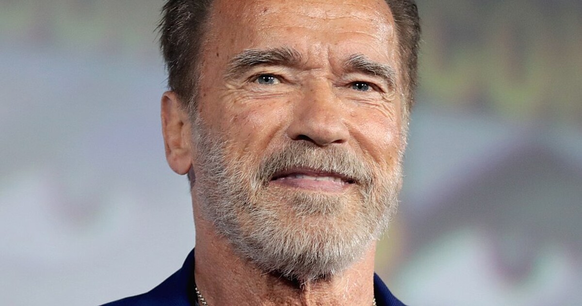 Červnové pecičky online: Na VOD platformách tě čeká Arnold, Downey, Hemsworth i drag queens. A to chceš