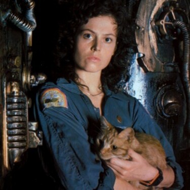 Jak se jmenoval kocour, kterého Ellen Ripleyová chovala na palubě lodi ve Vetřelci?