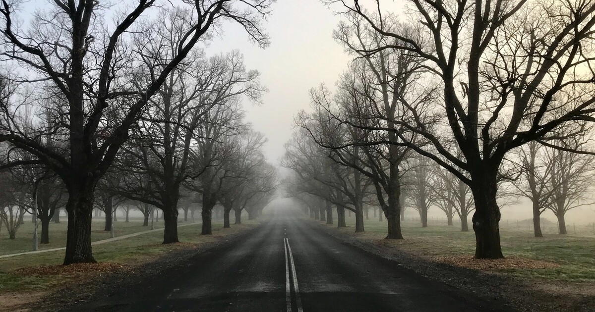 Předpověď na víkend: Zatažená obloha a ráno i mlha