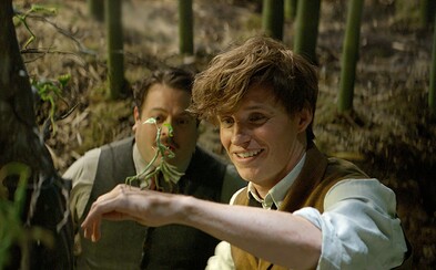 Fantastická zvířata válcují kina! Eddie Redmayne se svými kouzly vydoloval už více než půl miliardy dolarů Fantastická zvířata válcují kina! Eddie Redmayne se svými kouzly vydoloval už více než půl miliardy dolarů