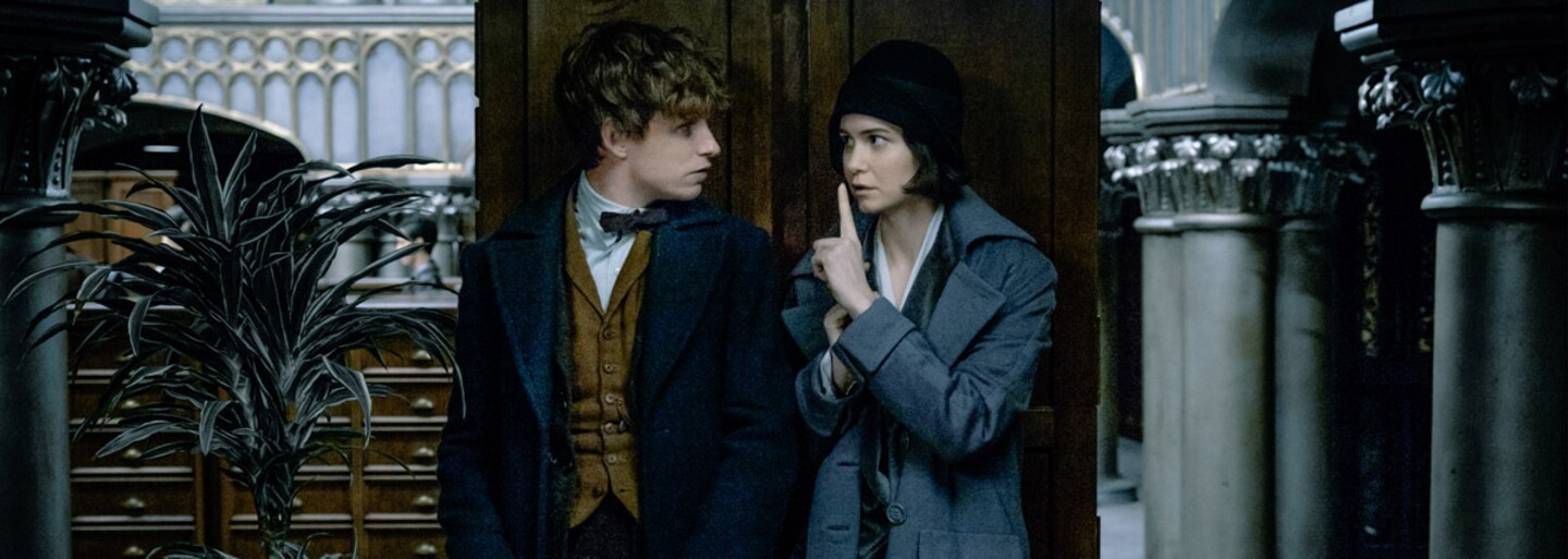 Fantastická zvířata válcují kina! Eddie Redmayne se svými kouzly vydoloval už více než půl miliardy dolarů