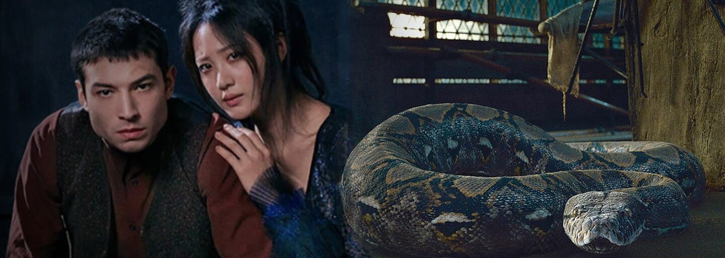 Fanoušci si stěžují, že do role Naginiho byla obsazena korejská herečka. Jak na to zareagovala J. K. Rowling?