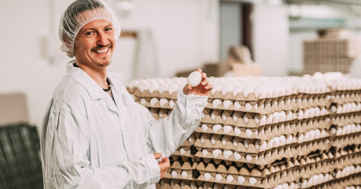 Pravda o vajíčkách z mekáče: Přemek Forejt se vydal odhalit jejich původ