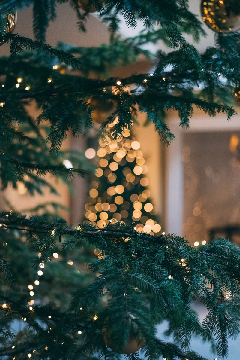 Svetelné reťaze sú neodmysliteľnou súčasťou Vianoc. Ak chceš pri ozdobovaní stromčeka ušetriť dĺžku reťaze: