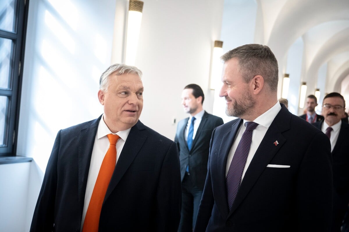 orbán, pellegrini