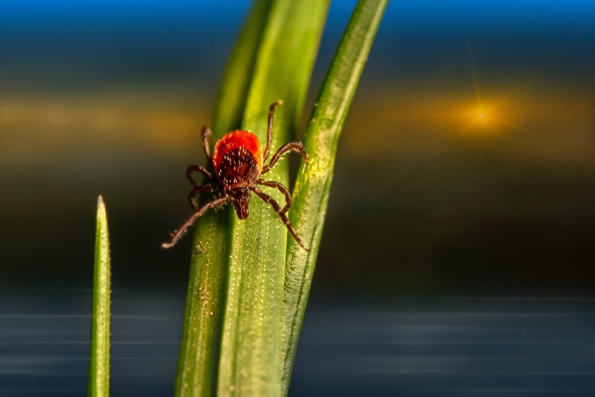 Ilustračná fotografia.