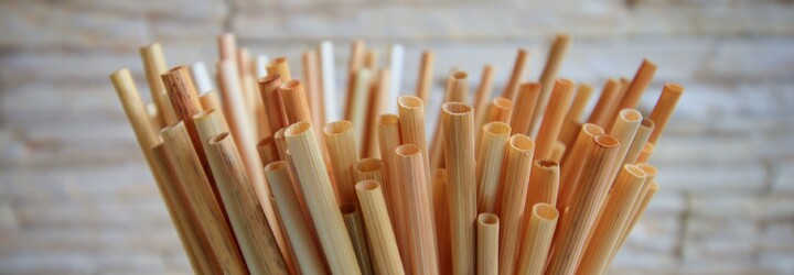 Davida štvala plastová brčka, tak začal vyrábět vlastní ze slámy. Nejsem ekofanatik, ale chci je do celého světa, říká