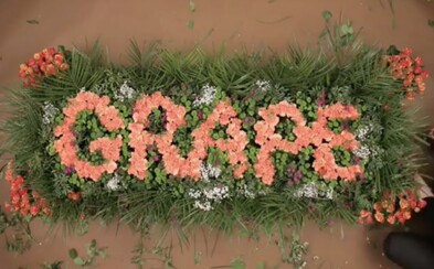 Festival Grape sa s piešťanským letiskom rozlúči vo veľkom kvietkovanom štýle. Predstavuje prvé veľké mená vystupujúcich Festival Grape sa s piešťanským letiskom rozlúči vo veľkom kvietkovanom štýle. Predstavuje prvé veľké mená vystupujúcich