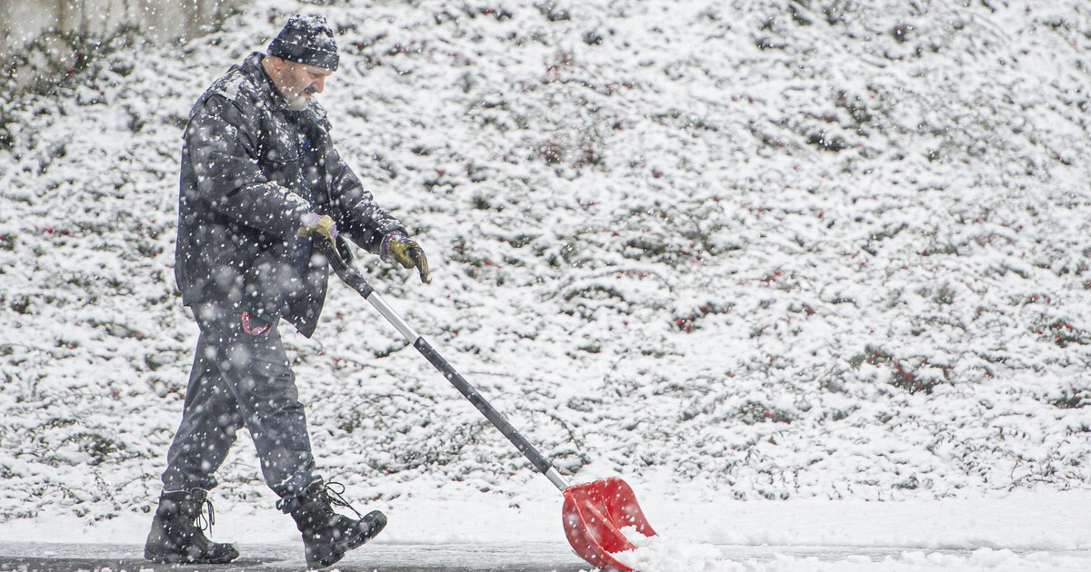 PŘEPOVĚĎ: V Česku napadne sníh. Mohl by vydržet až do Štědrého dne