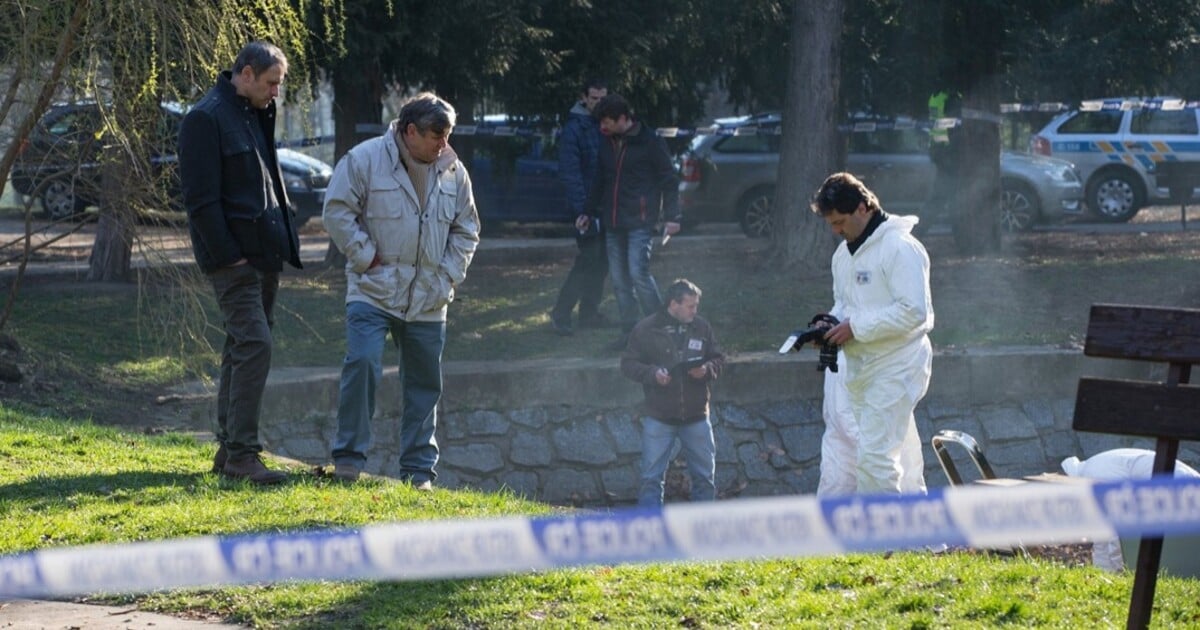 „Bránil se, až mě škrábl.“ Patnáctiletý chlapec brutálně zavraždil svého kamaráda