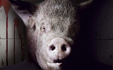 Film Sviňa predstavuje ľudí, ktorí okrádajú krajinu. Podobajú sa pritom na slovenských politikov Film Sviňa predstavuje ľudí, ktorí okrádajú krajinu. Podobajú sa pritom na slovenských politikov