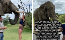 Fitnesska dělala shyby na klech slona. Její followeři ji zkritizovali, nelíbilo se jim, jak se k zvířeti chová