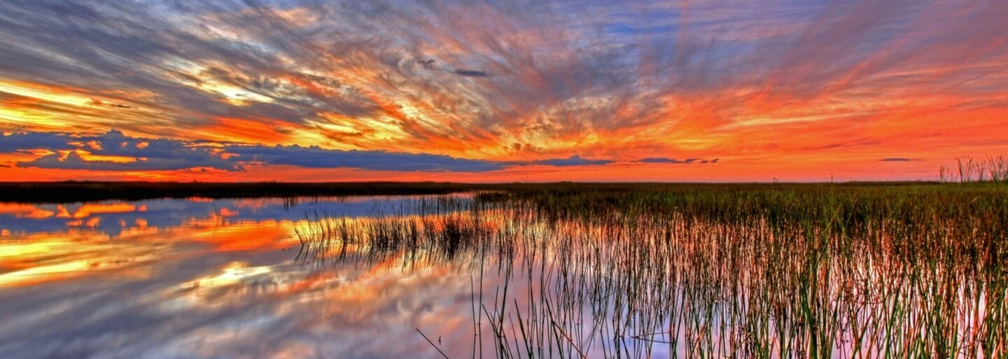 Florida chce označit porno za veřejné zdravotní riziko. Způsobuje prý fyzická i mentální onemocnění