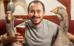 Frajerka sa s Angličanom rozišla a on si kúpil namiesto nej dve husi. Chodí s nimi dokonca aj na drink