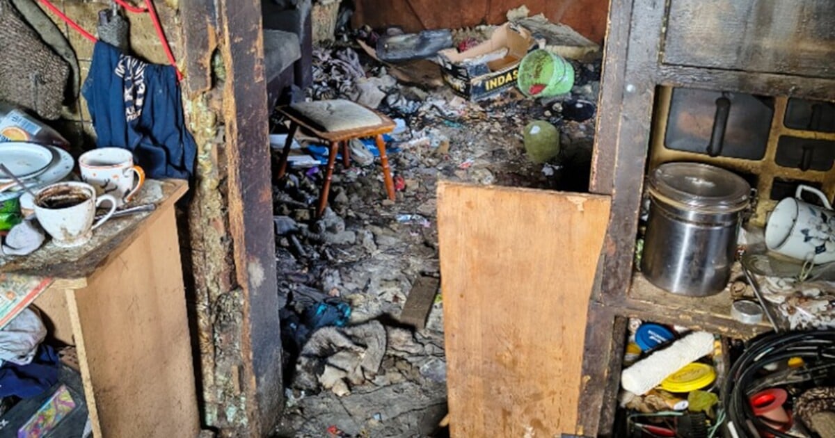 FOTO: Veterináři objevili na Tachovsku přes 50 zanedbaných zvířat. V těchto otřesných podmínkách žily desítky psů