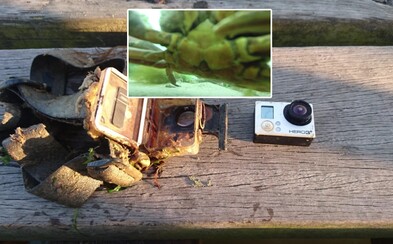 GoPro, ktoré strávilo rok na dne jazera, ale ochránilo svoju pamäťovú kartu. Zaujalo aj zvedavého živočícha GoPro, ktoré strávilo rok na dne jazera, ale ochránilo svoju pamäťovú kartu. Zaujalo aj zvedavého živočícha
