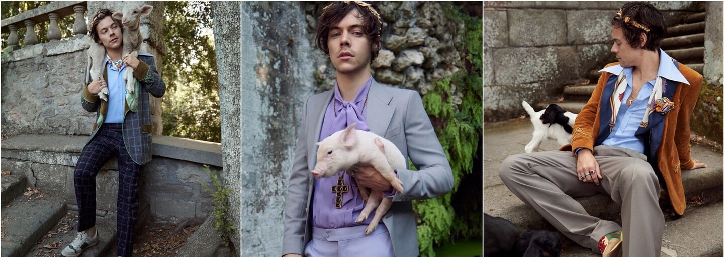 Harry Styles v nové kampani pro Gucci pózuje s prasetem, ovcí i kozou