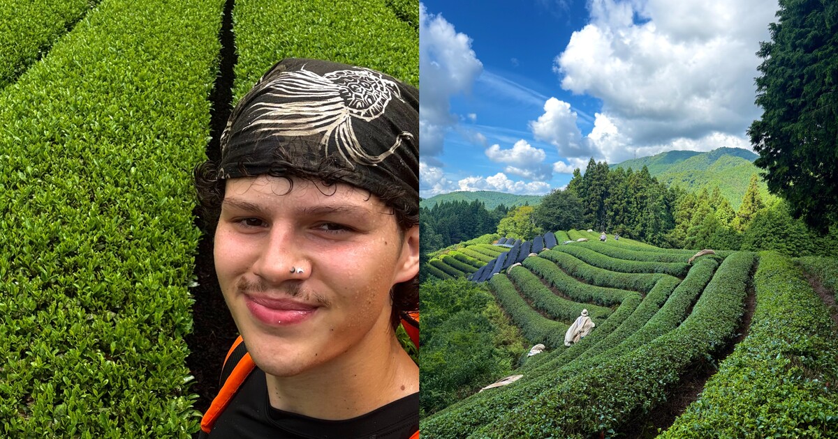 Mladý Čech pracoval na matcha farmě v Japonsku. „Při nošení hnojiva ve 35 stupních jsem myslel, že umřu“