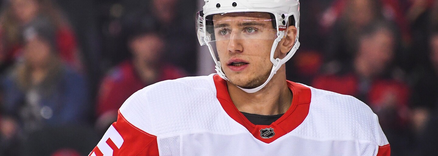 Hokejista Jakub Vrána míří do programu NHL, který pomáhá hráčům s problémy