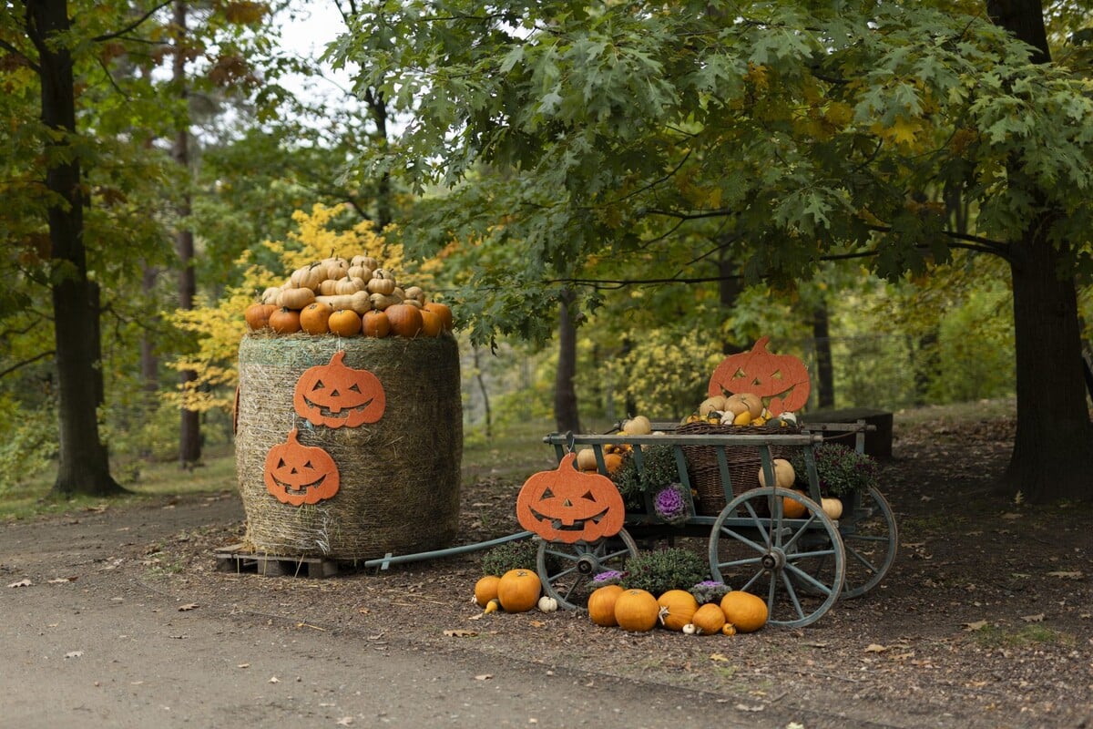 Výstava dýní v Botanické zahradě Praha.