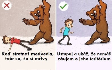Hrát si na mrtvolu před medvědem není dobrý nápad. Chybné rady lidí tě v nebezpečných situacích mohou stát život, kde se tedy skrývá pravda? Hrát si na mrtvolu před medvědem není dobrý nápad. Chybné rady lidí tě v nebezpečných situacích mohou stát život, kde se tedy skrývá pravda?