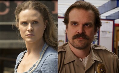 Hvězda seriálu Westworld kritizuje Stranger Things za hrubé chování mužů k ženám Hvězda seriálu Westworld kritizuje Stranger Things za hrubé chování mužů k ženám