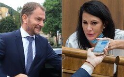 Igor Matovič odkázal poslankyni SaS Jane Cigánikovej, že má byť rada, že ju mama nepotratila. Ako poslankyňa SaS reaguje?